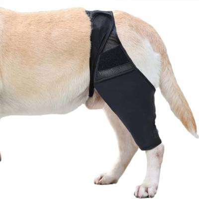 Ruiqas Hunde-Knie-Bein-Bandage, Rückenbandage für Luxating Patella, zerrissene Hinterseite für bessere Erholung von Ruiqas
