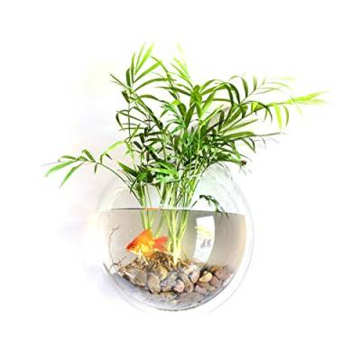 SIUKE Aquarium,Hauptdekoration-Wand-Berg-Fischbehälter Goldfish-Schüssel-Acryl-hängende Aquarien-Blumentopf-Blumen-Vase von SIUKE