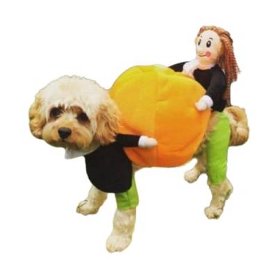 Lustiger Hunde-Kürbis-Kostüm, Cosplay-Kostüm, hält Kürbis, weich, bequem, Kostüm-Zubehör, Verkleidungszubehör, Halloween-Kostüm von Saddgo