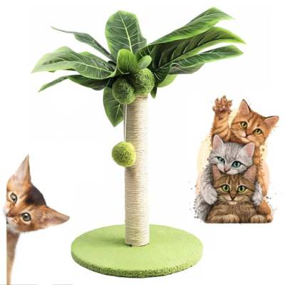 Kratzbaum,Coconut Palm Cat Scratching Post,Kratzsäule mit Sisal,Kratzsäule,Katzenkratzbaum,Geeignet für Kleine Bis Mittelgroße Katzen von Shengruili