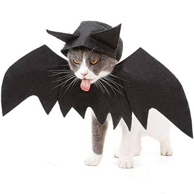 Sobotoo Hundekostüm für Halloween, Fledermaus, Flügel, Kostüm, Halloween, Cosplay für Katzen, kleine und mittelgroße Hunde von Sobotoo