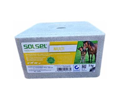 Solsel Leckstein Multi mit Kupfer 5 kg für Pferde Wild Rinder Ziegen (2X 5kg GP 1,06€/kg) von Solsel