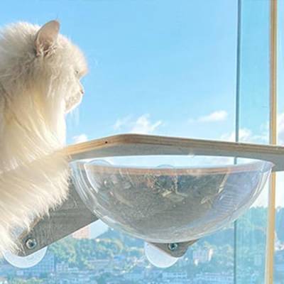 Katzen-Hängematte, Katzen-Wandregale, Faltbare Katzen-Fensterstange für Hauskatzen, Wandmontiertes Katzen-Kletterset, Saugnapf, Großes(Acryl-Raumkapsel 40x30x15cm) von TITA-DONG