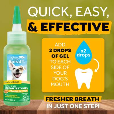 TropiClean Fresh Breath OralCareGel Kit Peanut Butter Hund von TropiClean
