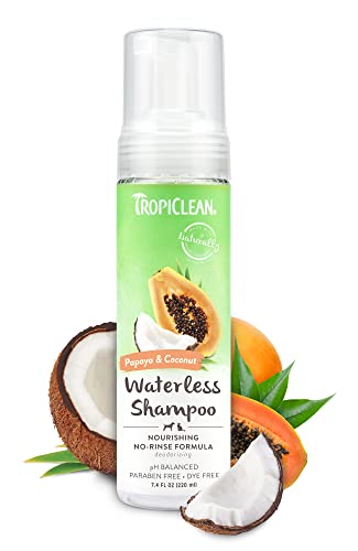 TropiClean Deep Cleaning Waterless Shampoo für Hunde, 220 ml von Tropiclean