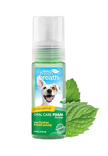 TropiClean Fresh Breath Oral Care Minzschaum für Haustiere - kein Bürsten erforderlich - 133 ml von Tropiclean