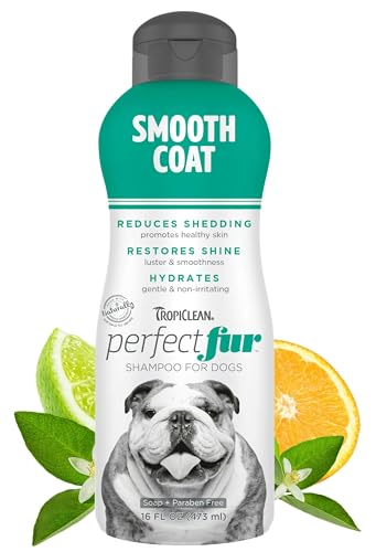 Tropiclean PerfectFur Smooth Coat Shampoo for Dogs, 16oz - Made in USA - Unique Breed Specific Moisturizing & Shed Control Formula for Skin-Hugging Coat Breeds Like Bulldogs - Naturally Derived von Tropiclean