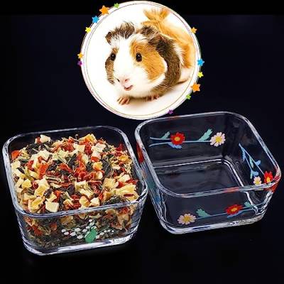 Futternapf und Wasserschale für Kleintiere, aus Glas, für Meerschweinchen, Igel, Zucker, Hamster, Eichhörnchen, Mäuse, Ratten, 2 Stück von VTurboWay