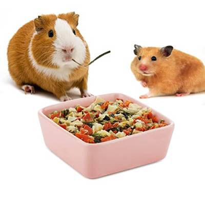 Hamster Keramik Futter- und Wassernapf Bunny Dish Feeder für Igel Eichhörnchen Meerschweinchen Kleintiere (Rosa von VTurboWay