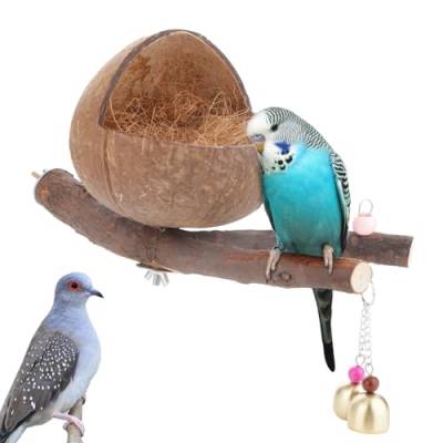 VTurboWay Natürliche Kokosnussschale Vogelnest mit Kokosmatte Bruthaus Hüttenkäfig mit Sitzstange Glocke Zuhause für kleine Vogel Papagei Nymphensittiche Sittich von VTurboWay