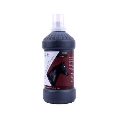 Verm-X Pferde Flüssig - 250 ml von Verm-X