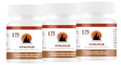 Vitalpfoten 3x75 Vitalpilze Kapseln für Hunde & Katzen mit Heilpilz-Extrakt aus dem ganzen Fruchtkörper für das Immunsystem und Fellpflege von Vitalpfoten