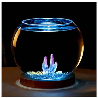 Aquarium Becken– Extra Klares Glasgehäuse – Aquarium Für Goldfische, Garnelen, Guppys. Mit USB-Sockel Für Warmes Und Kühles Licht,Small Cold Light c von YANGMIAN