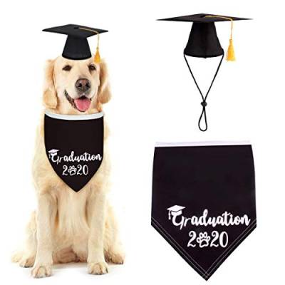 Yuehuam Hunde-Geburtstagsset, Hunde-Halstuch, Schal, Mütze, Partyzubehör, Gedenktag, Hundekostüm für kleine, mittelgroße und große Hunde von Yuehuam