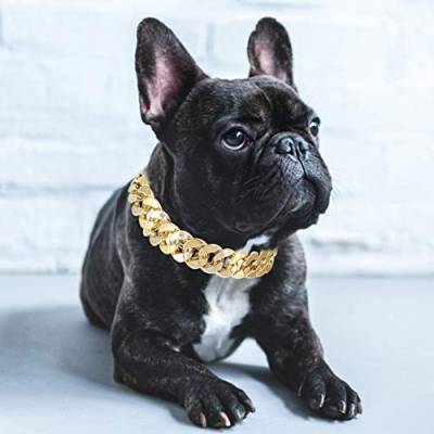 Yuehuam Haustier Hundehalsband Halskette Zubehör Bulldogge Halsband Kleine Mittlere Haustier Schmuck Zubehör Gold Slip Chain Hundehalsband für Kleine Mittelgroße Haustiere von Yuehuam