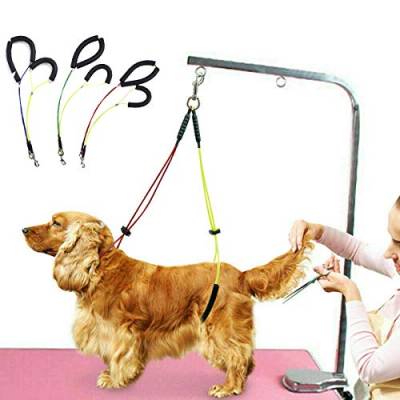 Yuehuam Haustierpflege Schlaufen Leine Verstellbarer Hund No-Sit Hals Und Hüfthalter Hundepflege Rückhalteseil für Kleine/Mittlere Hunde Katzen (Gelb + Rot) von Yuehuam