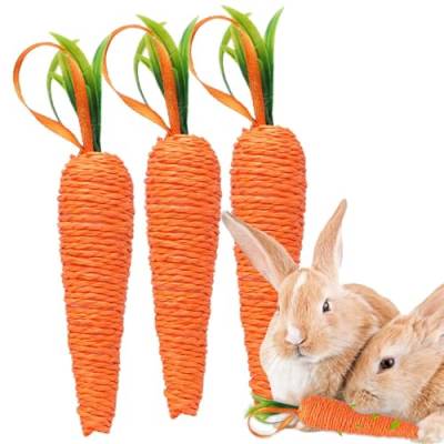 acime Karotten-Hundespielzeug, Karotten-Hundekauspielzeug - 3 Stück Karotten-Kaninchen-Kauspielzeug,Hundespielzeug, Hasen-Zahnspielzeug, Kaninchenspielzeug, Welpen-Kauspielzeug, von acime