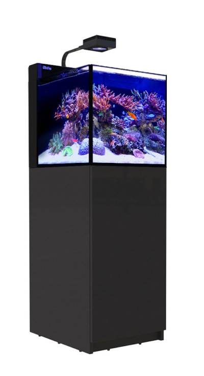 Red Sea MAX NANO Peninsula G2 mit Schrank Aquarium mit Schrank schwarz