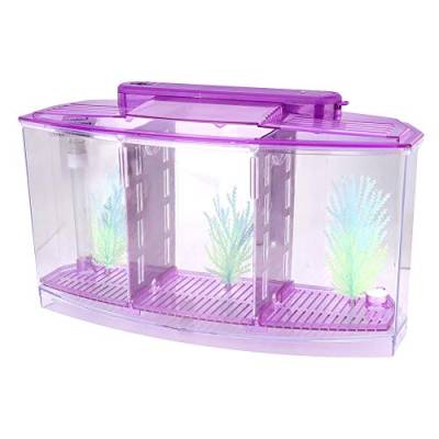 Aquarium Aquarium, Aquarium Fischzuchtbox Acryl Brüterei Inkubator Tank mit LED-Licht, LED Acryl DREI Abteilungen Zuchtisolationsbox für Kleine Fische (Purple) von gernie