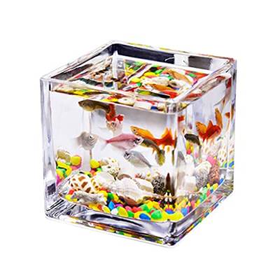 Aquarium Desktop-Quadrat Transparentes Glas Mini-Büro-Haushalts-Fisch-Tank-Wasser-Gras-Panzer Betta-Fisch-Zierfisch Kleiner Fisch-Tank Aquarien (Size : 5.91IN) von luckxuan