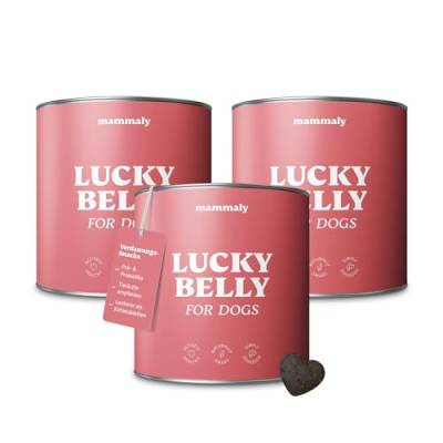 mammaly Lucky Belly für Hunde Verdauungssnacks mit Probiotika Hund, Heilmoor für Hunde, Alternative zu Heilerde für Hunde und Kohletabletten Hund, Hund Darmflora aufbauen, ca. 330 Snacks von mammaly