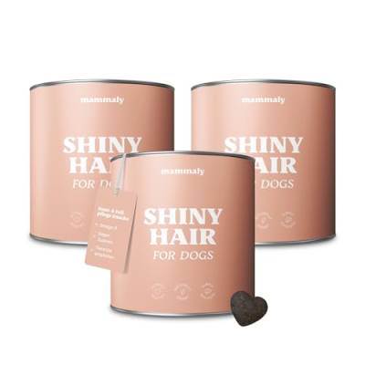 mammaly® für Hunde Shiny Hair Fellpflege Snack, leckere Alternative zu Bierhefe, Fellpflege Ergänzungsfuttermittel, Omega3, Biotin & Seealge gegen Haarausfall, schöneres Hundefell, ca. 270 Snacks von mammaly