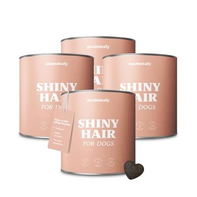 mammaly® für Hunde Shiny Hair Fellpflege Snack, leckere Alternative zu Bierhefe, Fellpflege Ergänzungsfuttermittel, Omega3, Biotin & Seealge gegen Haarausfall, schöneres Hundefell, ca. 360 Snacks von mammaly
