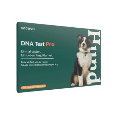 vetevo DNA Test Hund Pro zur Rassenbestimmung, Gentest auf 400+ Hunderassen, Hunderasse Test für alle Hunde: Mischling, Straßenhund, reinrassiger Hund von vetevo