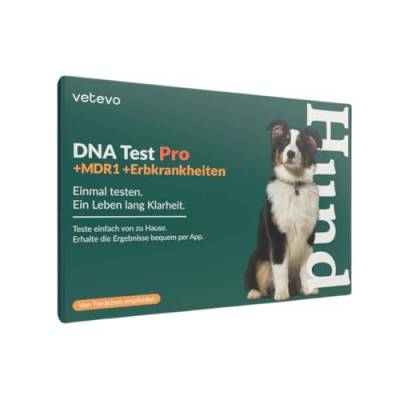 vetevo Hund DNA Test Rassenbestimmung & Erbkrankheiten, Hunde Gentest auf 400+ Hunderassen & 175+ Erbkrankheiten, Einfache Anwendung, Gratis Laborversand von vetevo