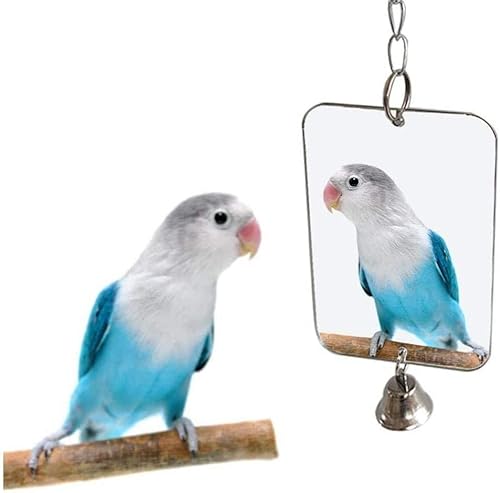 通用 1 x Vogelspiegel Lovebirds Hängende Spiegel mit Haken Kette Glocke Papagei Nähen Biss Spielzeug für Wellensittich Nymphensittiche Nymphensittiche von 通用