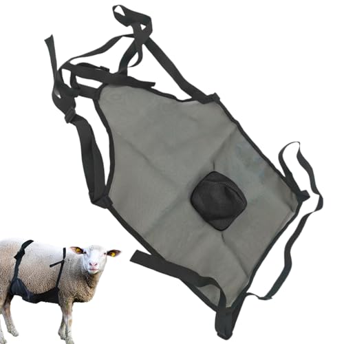 Anti-Breeding Schürze für Ziegen, Anti-Breeding Schürze für Ziegen - Bauernhofbedarf für Haustiere, Unterbrechungshilfe für Kuh, , Tiere, Viehausrüstung, Vorräte Management-Tools, Tier von ノーブランド品