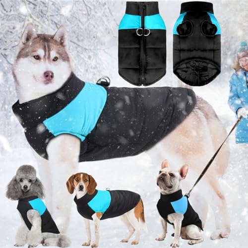 Hundemantel für Kleine Hunde, Wintermantel Hund, Hundemantel, Hunde Jacken Winter, Hundemantel Mit Bauchschutz, Mit Sicherheitsloch für Kleine und Mittelgroße Hunde Geeignet von 通用