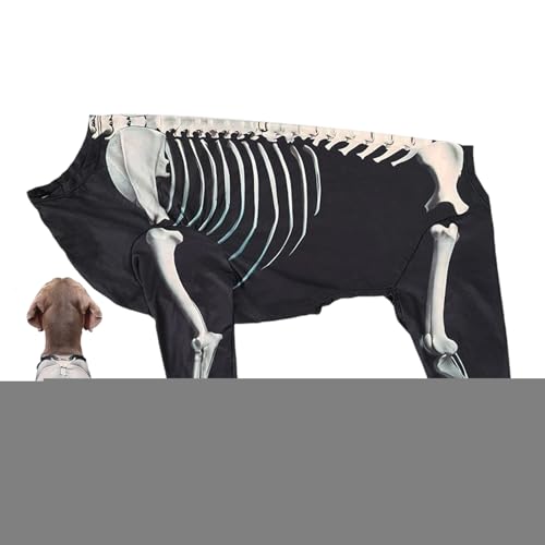 Hunde-Halloween-Kostüm, Skelettkleidung, Welpen-Body, Haustier-Halloween-Kostüm, Cosplay, Ausgehen, Veranstaltungen, Erinnerungsfotos von ノーブランド品