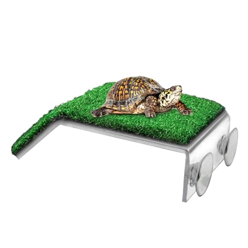 Turtle Basking Dock Large Turtle Basking Dock - Turtle Basking Dock Cozy Water Turtle Sunbathing Area | Easy Set Up Turtle Stage, Convenient Aquatic Turtle Sun Dock for Frogs, Amphibien Pets, Turtles Turtle Basking Dock Large Turtle Basking Dock - Turtle Basking Dock Cozy Water Turtle Sunbathing Area | Easy Set Up Turtle Stage, Convenient Aquatic Turtle Sun Dock for Frogs, Amphibien Pets, Turtles von ノーブランド品