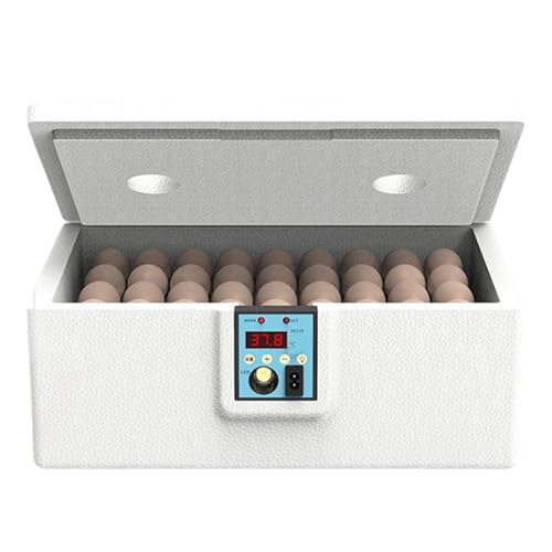 Wachtelei-Inkubator – Digitale Geflügel-Schlüpfausrüstung, automatische Drehblutmaschine | Intelligenter Temperaturregler, Wasserbettheizung, pädagogische Forschung, Verwendung für , Barnyf Wachtelei-Inkubator – Digitale Geflügel-Schlüpfausrüstung, automatische Drehblutmaschine | Intelligenter Temperaturregler, Wasserbettheizung, pädagogische Forschung, Verwendung für , Barnyf von ノーブランド品