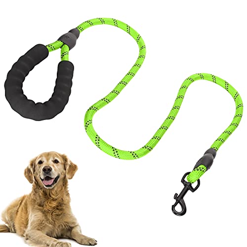 01 Haustierleine, reflektierende Hundeleine Langlebige schöne Farbe für Spaziergänge für mittlere und große Hunde(Green) von 01