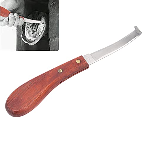 01 Hufraspel, Hufmesser Hufeisen zum Trimmen des weicheren Teils der Unterseite eines Pferdehufes 01 Hufraspel, Hufmesser Hufeisen zum Trimmen des weicheren Teils der Unterseite eines Pferdehufes von 01