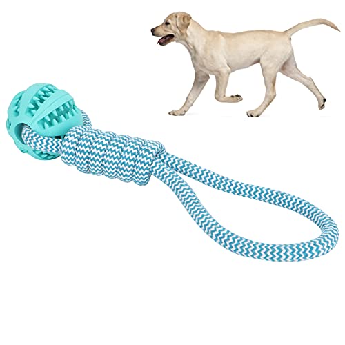 01 Hundekauball, Haustierbeißball Snacks Haushalt mit Ballseil für Hundezähne Reinigung für Hundebiss Spielzeug(Blue) von 01