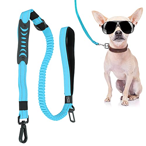 01 Hundeleine, Pet Harness Belts Pet Sicherheitsgurt Robust mit doppelten weichen Griffen zum Trainieren oder Spazierengehen mit dem Hund(Blue) von 01