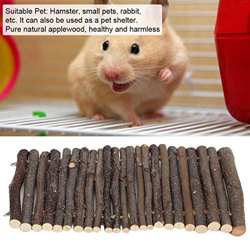 Hamsterbogenbrücke, Hamsterleiter Hamsterversteck Hamsterzubehör Hamsterspielzeug für Kaninchen Kleintiere Haustier(L, Blue) von 01