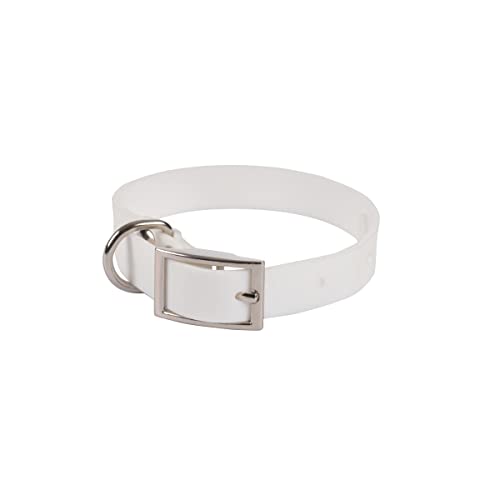 Hundehalsband aus Silikon, Weiß Hundehalsband aus Silikon, Weiß von 1001KDO POUR ANIMAUX