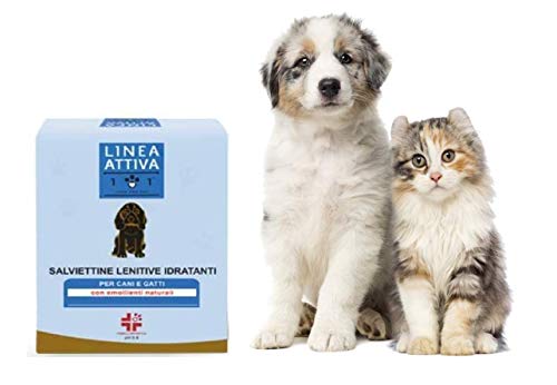 22 Stück Feuchtigkeitstücher im Beutel - Einzeln verpackt und wiederverwendbar - mit natürlichen Weichmachern - Linderung für alle Hauttypen - für Hunde und Katzen - Linea 101 22 Stück Feuchtigkeitstücher im Beutel - Einzeln verpackt und wiederverwendbar - mit natürlichen Weichmachern - Linderung für alle Hauttypen - für Hunde und Katzen - Linea 101 von 101 love for pet