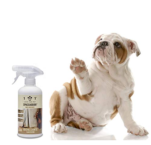 Deo-Spray beseitigt Gerüche (Urin, Schmutz, Abfall etc.) Natürlich und pflanzlich, 500ml - Reinigt und parfümiert die Umwelt - für Hunde und Katzen, Linea 101 von 101 love for pet