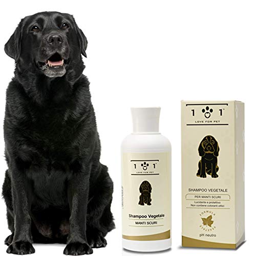 Konzentriertes natürliches Shampoo für Hunde mit dunklem Fell, 250ml - Beseitigt Schmutz und schlechte Gerüche - Zart - Linea 101 von 101 love for pet