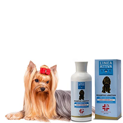 Natürliches Shampoo für Hunde und Katzen, 250ml - Schützende Formel mit Kamille und Pflanzenölen - Feuchtigkeitsspendend und Erfrischend - Linea 101 von 101 love for pet