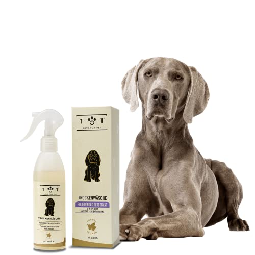 Natürliches Trockenshampoo für Hunde, 250 ml – ohne Wasser oder Ausspülen – Inhaltsstoffe Pflanzlichen Ursprungs – für alle Felltypen, Linea 101 Natürliches Trockenshampoo für Hunde, 250 ml – ohne Wasser oder Ausspülen – Inhaltsstoffe Pflanzlichen Ursprungs – für alle Felltypen, Linea 101 von 101 love for pet