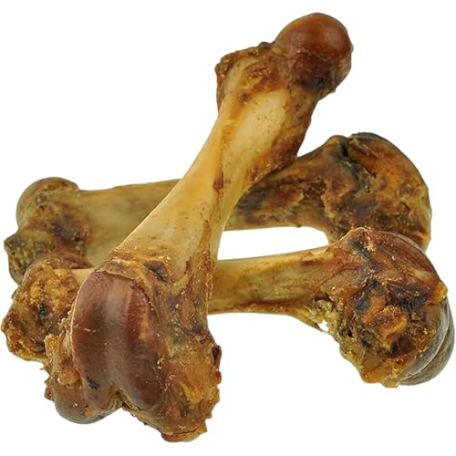 Großer Knochenleckerbissen für Hunde - Große, 100% natürliche Schweineknochen zum Kauen für Hunde, ideal für aggressives Kauen (Schwein, 4 Stück) von 123 Treats
