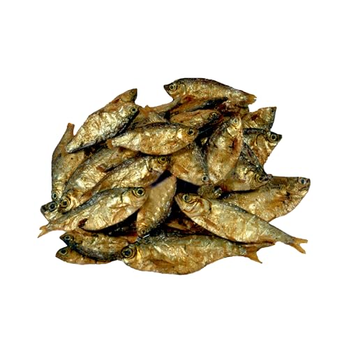 123 Treats Sardinella Trockenfisch für Hunde – (500 g) Leckerli mit getrocknetem Fisch, 100% natürlich, Leckerli für Hunde mit einzigartigen Inhaltsstoffen, reich an Proteinen und Omega-3 von 123 Treats