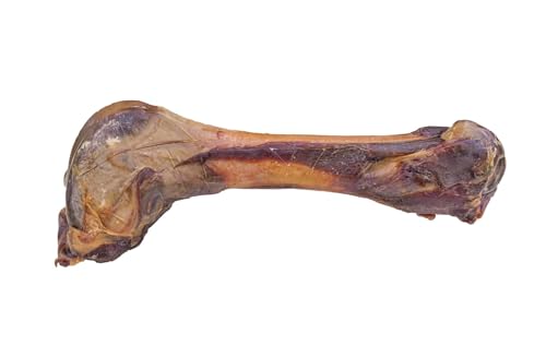 Luftgetrocknete Schinkenknochen für Hunde - 4 Stück - Natürlicher Kausnack, Langanhaltende Beschäftigung, Reich an Protein & Mineralstoffen von 123... Hund dabei!