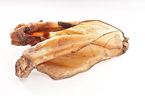 123... Hund dabei! - Rinderohren mit Muschel 50 Stück - magerer Snack für Zwischendurch und als Belohnung - Rinderohren mit Muschel für große Hunde - Vorratspaket (Rinderohren mit Muschel 50 Stück) von 123... Hund dabei!